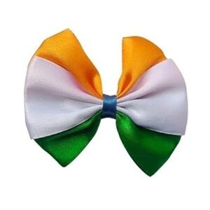 dress to match saffron white green alligator hair clip duo