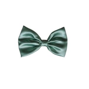 charming fabric stylish bow hair clip/back pin (3.07 inch) for girls and women – fern green